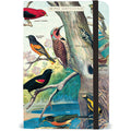 Cavallini Papers & Co, Bird Watching Small Notebook