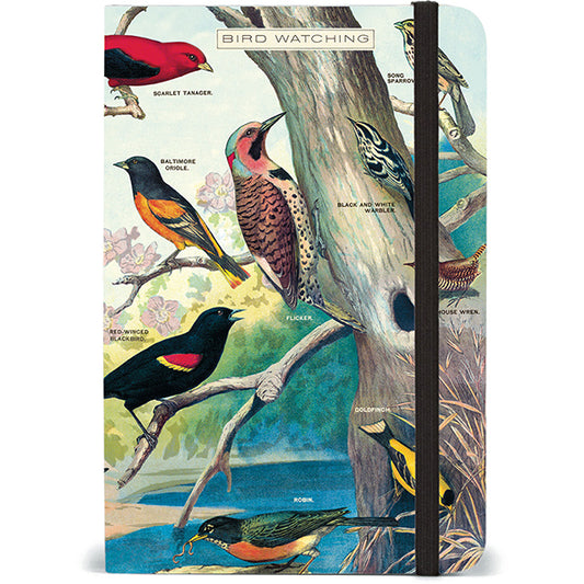Cavallini Papers & Co, Bird Watching Small Notebook