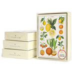 Cavallini Papers & Co., Jardin Boxed Notes