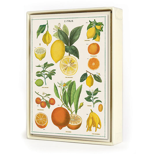 Cavallini Papers & Co., Jardin Boxed Notes
