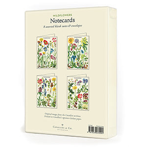 Cavallini Papers & Co, Wildflowers Boxed Notes