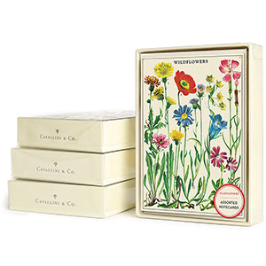 Cavallini Papers & Co, Wildflowers Boxed Notes