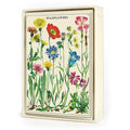 Cavallini Papers & Co, Wildflowers Boxed Notes