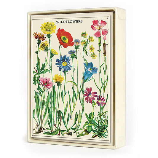 Cavallini Papers & Co, Wildflowers Boxed Notes