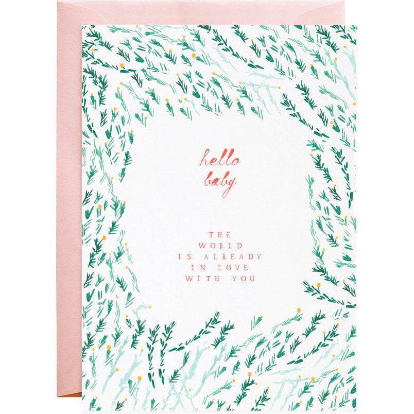 Mr. Boddington's, baby & the world