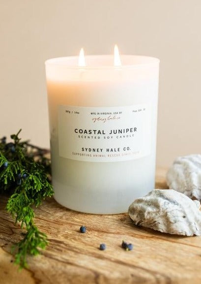 SYDNEY HALE, COASTAL JUNIPER