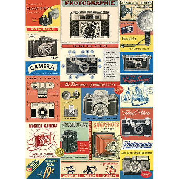 Cavallini Papers & Co, Gift Wrap, Vintage Cameras